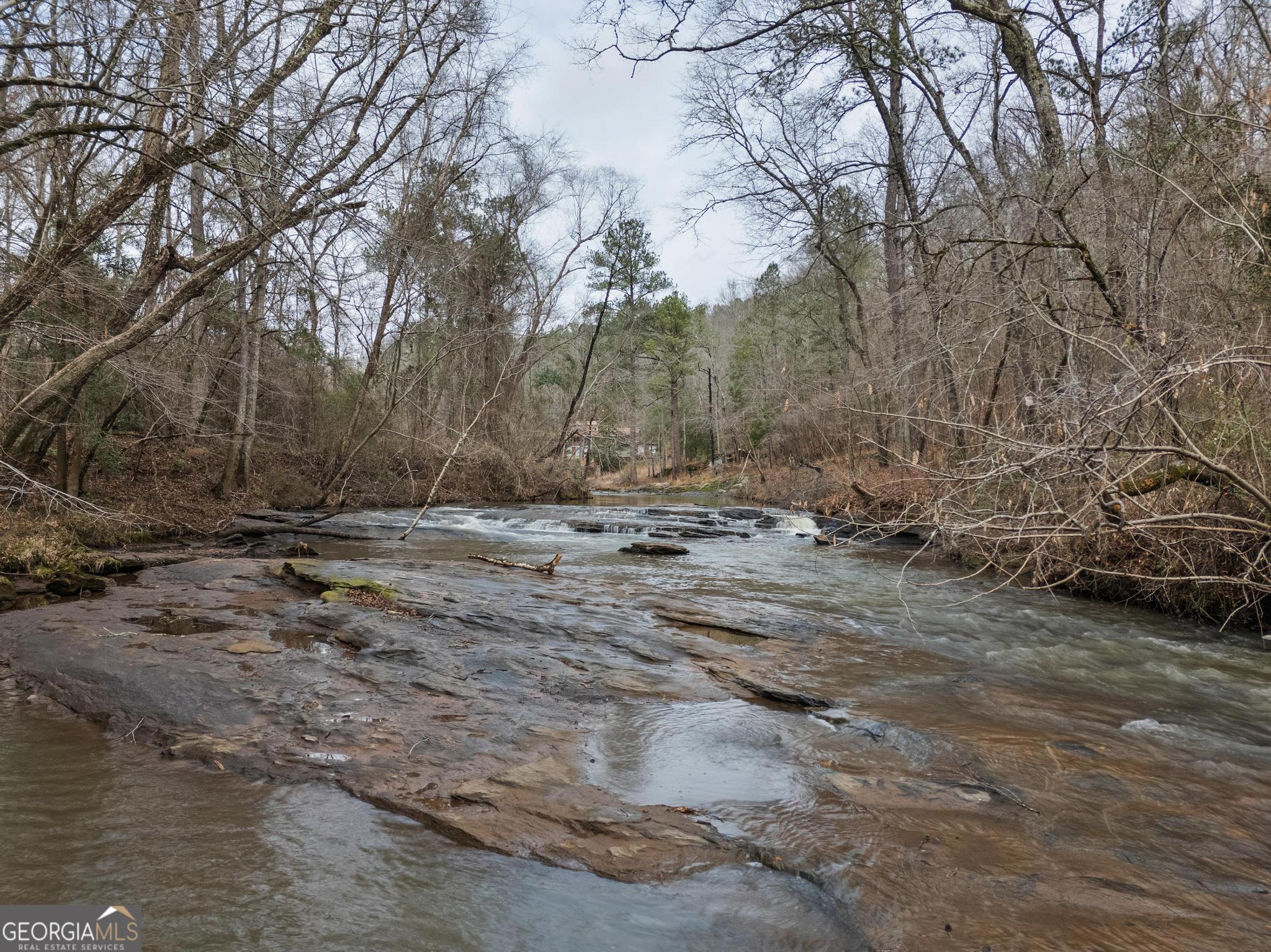 0 South 42nd Highway Forsyth, GA 31029 - Photo 3 of 13
