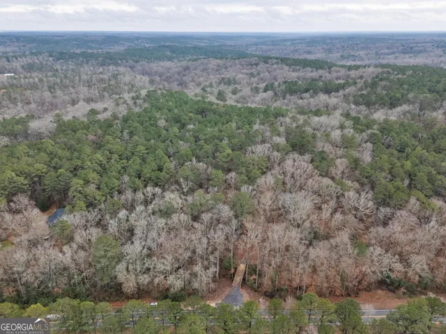 a view of a lake in middle of forest
