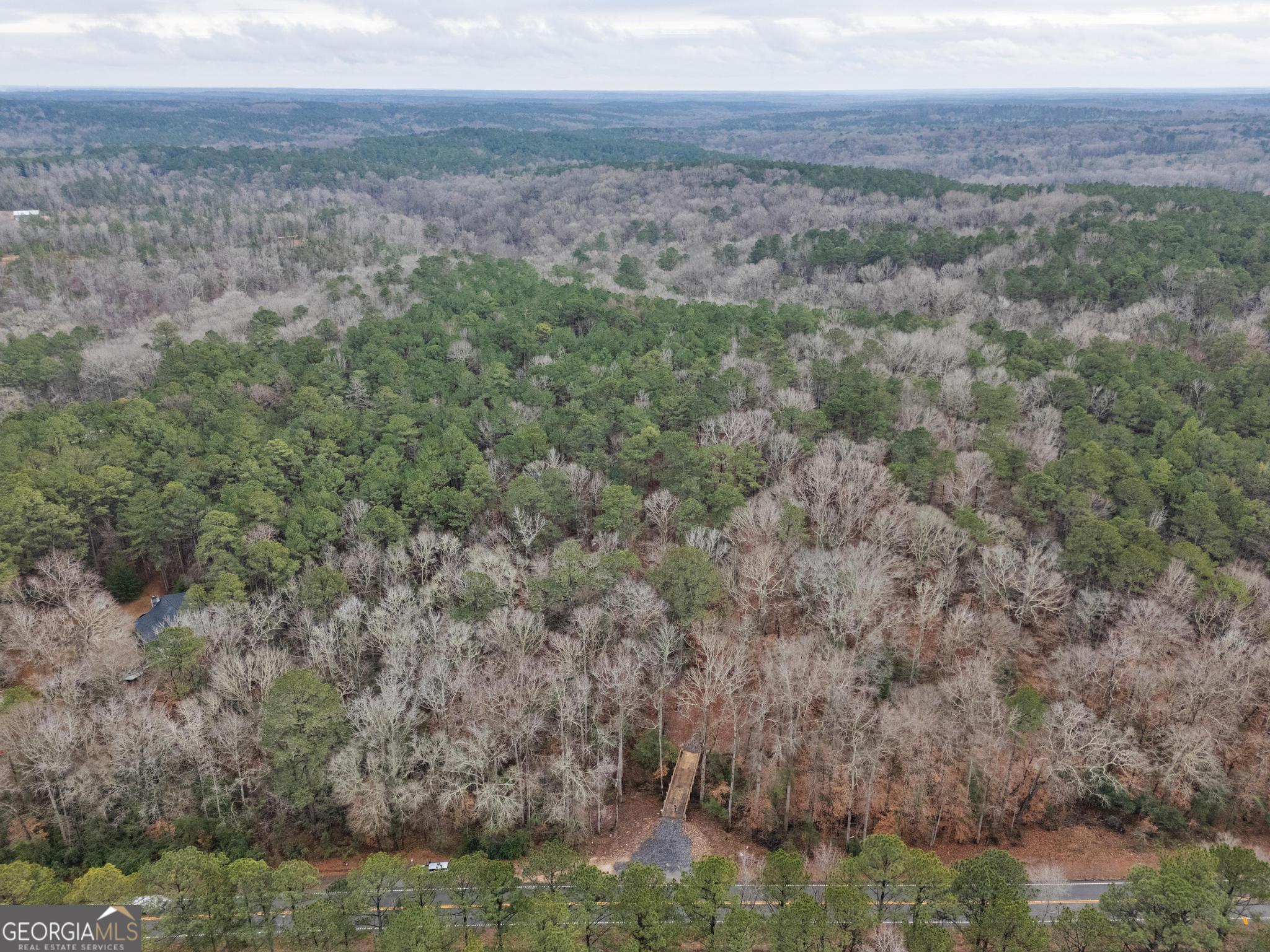 0 South 42nd Highway Forsyth, GA 31029 - Photo 4 of 13 a view of a lake in middle of forest