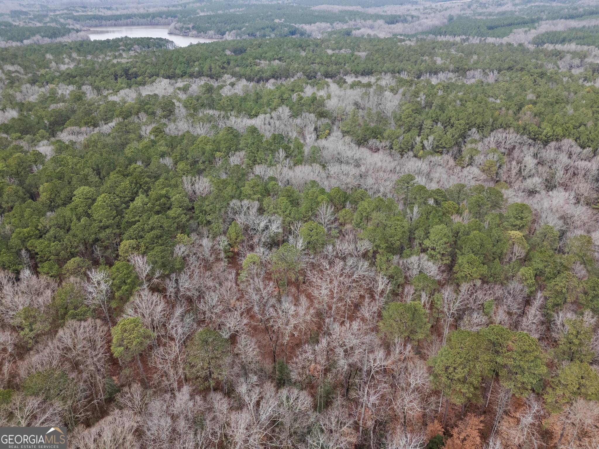 0 South 42nd Highway Forsyth, GA 31029 - Photo 5 of 13 a view of a field with trees in background
