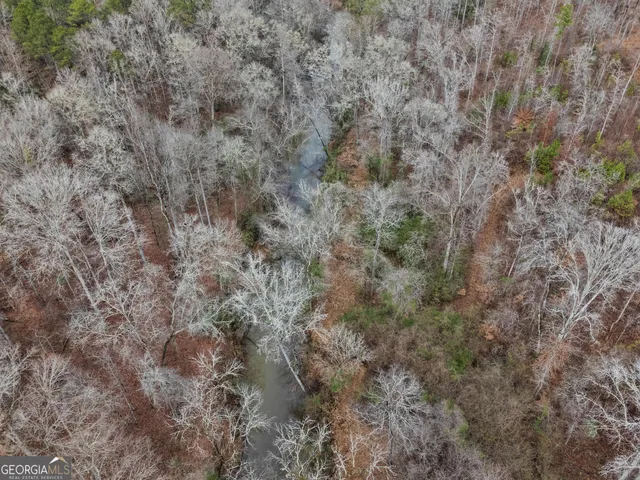 a view of a dry yard
