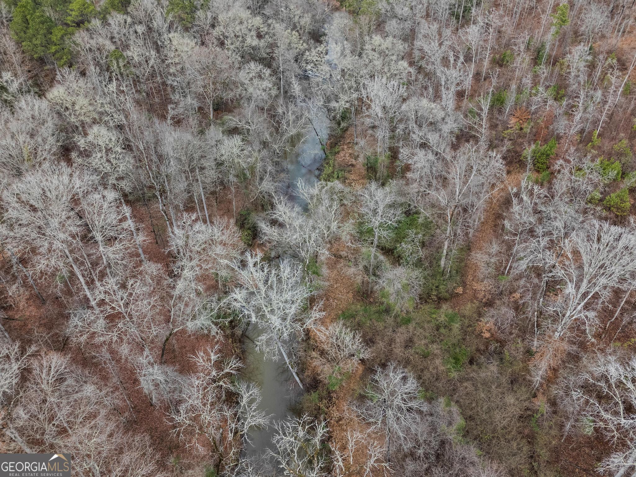 0 South 42nd Highway Forsyth, GA 31029 - Photo 6 of 13 a view of a dry yard