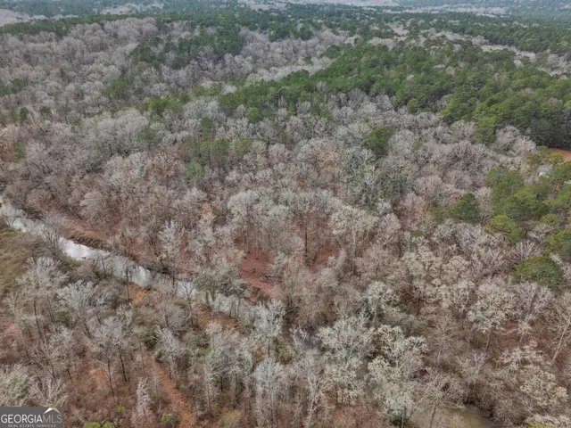a view of a dry yard with trees all around