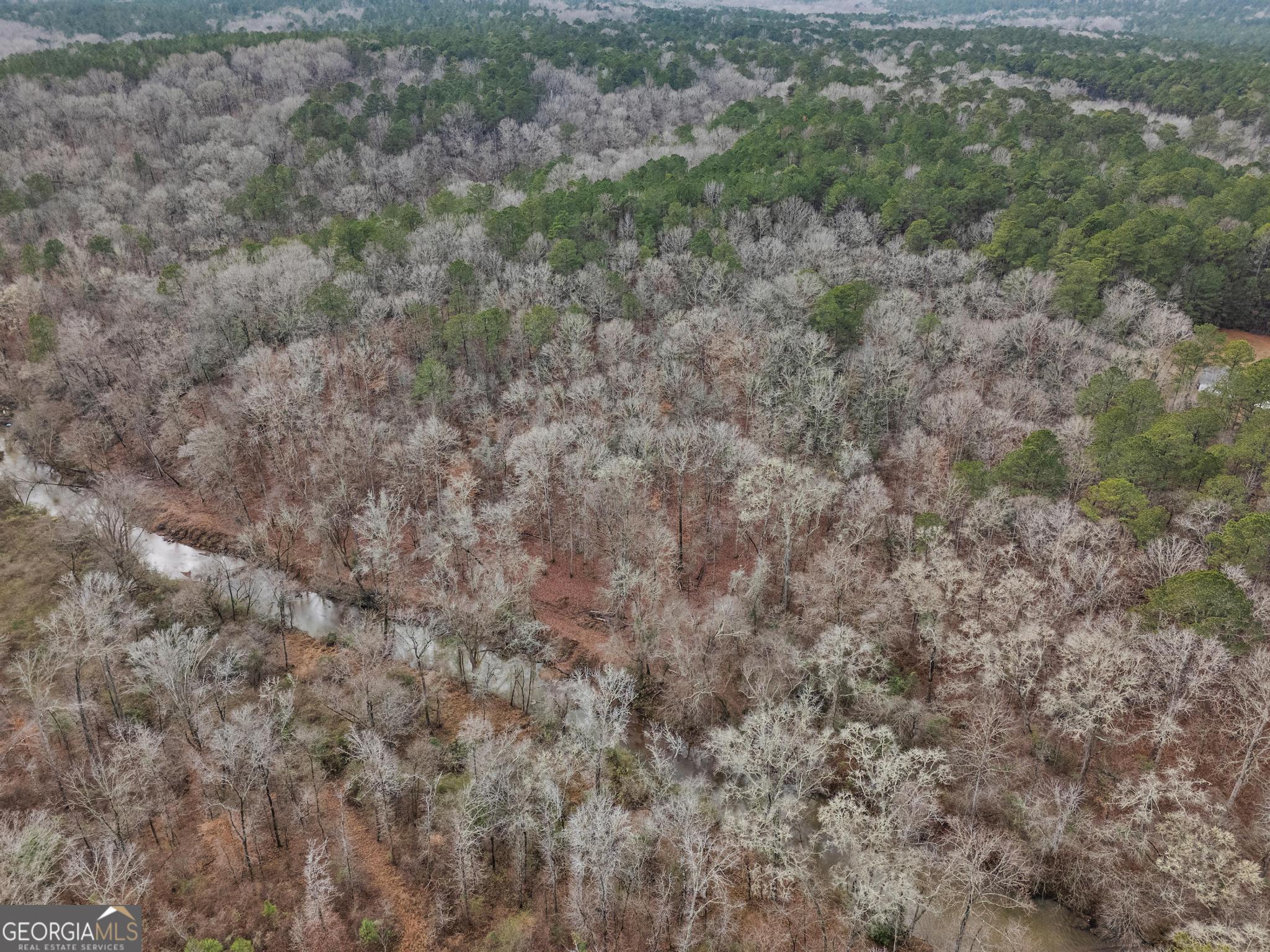 0 South 42nd Highway Forsyth, GA 31029 - Photo 10 of 13