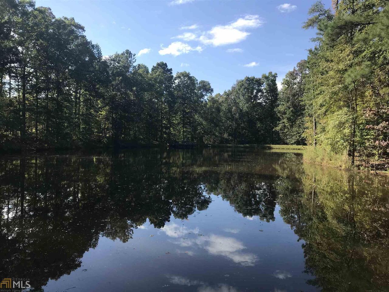 233 Polk Road Moreland, GA 30259 - Photo 1 of 1