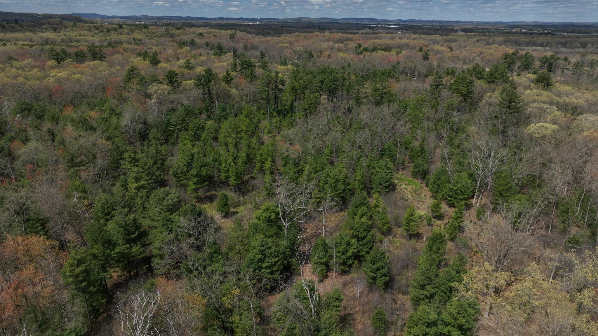 Lot 4 Grayling Tomah, WI 54660 - Photo 14 of 50