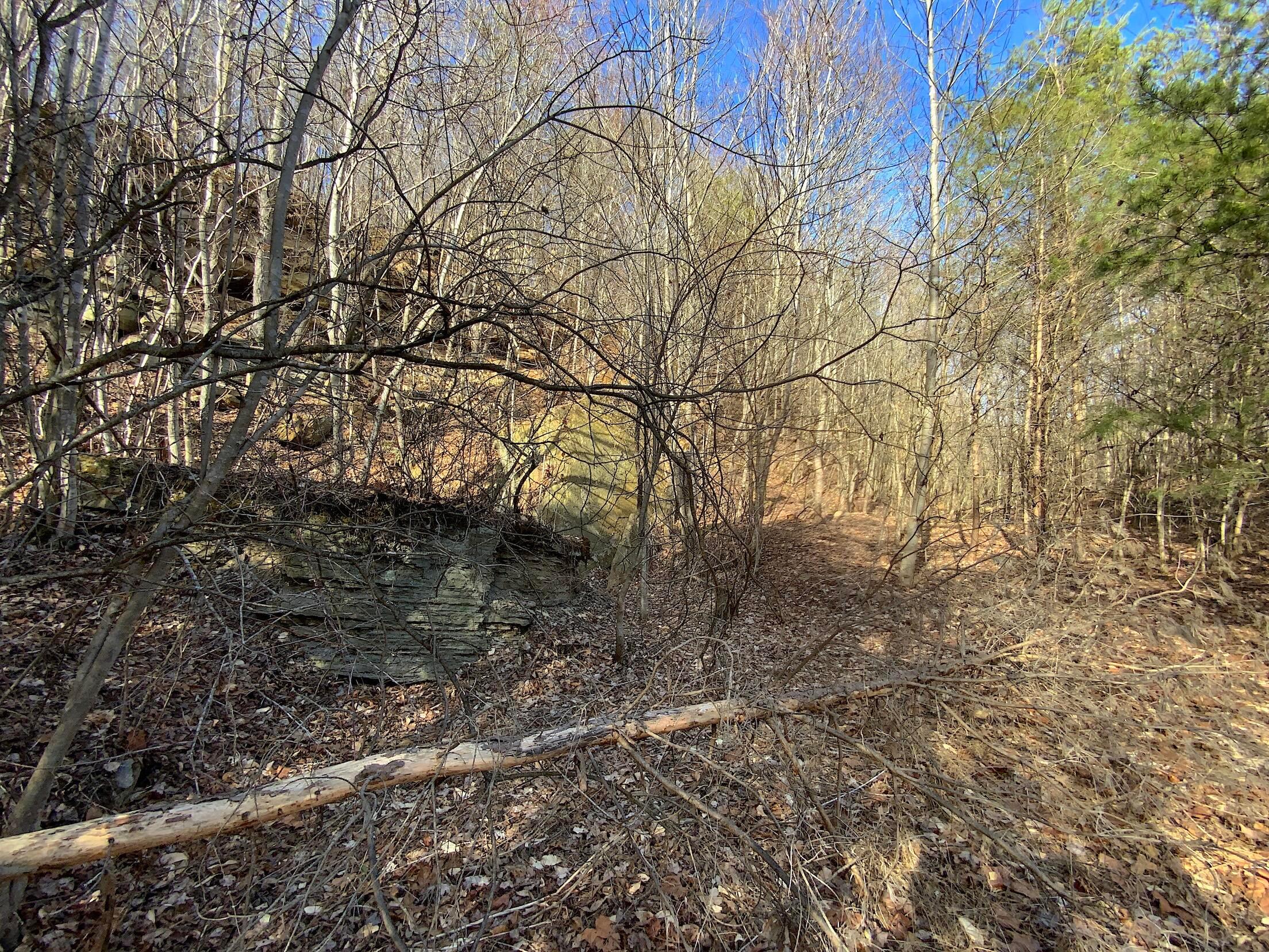 0 Kelly Road Ray, OH 45672 - Photo 33 of 46 Vinton County Kelly Rd 32
