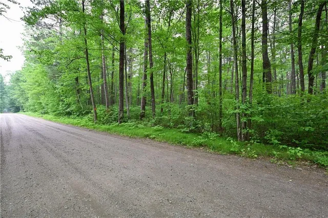 $24,780 | Lot 1 Woodland Avenue, Hayward, WI 54843