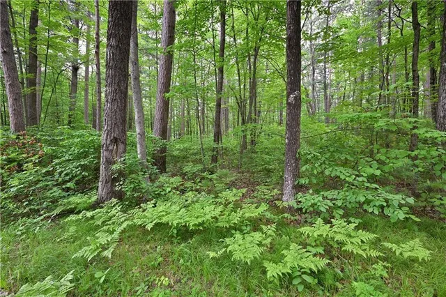 $24,780 | Lot 1 Woodland Avenue, Hayward, WI 54843
