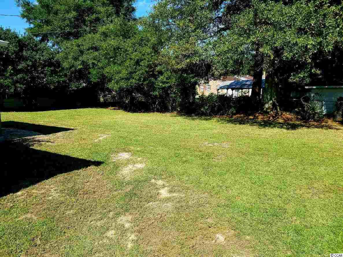 161 County Rd S-22-174 Georgetown, SC 29440 - Photo 29 of 35 Gallery Image 29