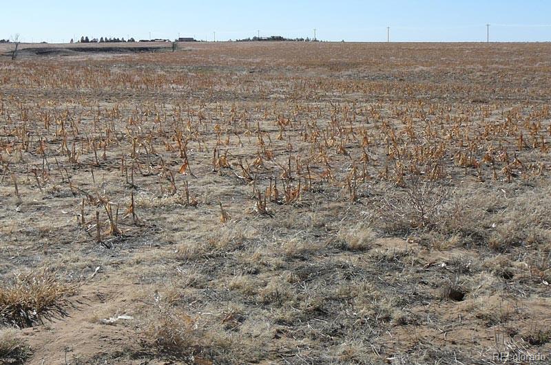 2 Converse Road Bennett, CO 80102 - Photo 2 of 7 Gallery Image 2