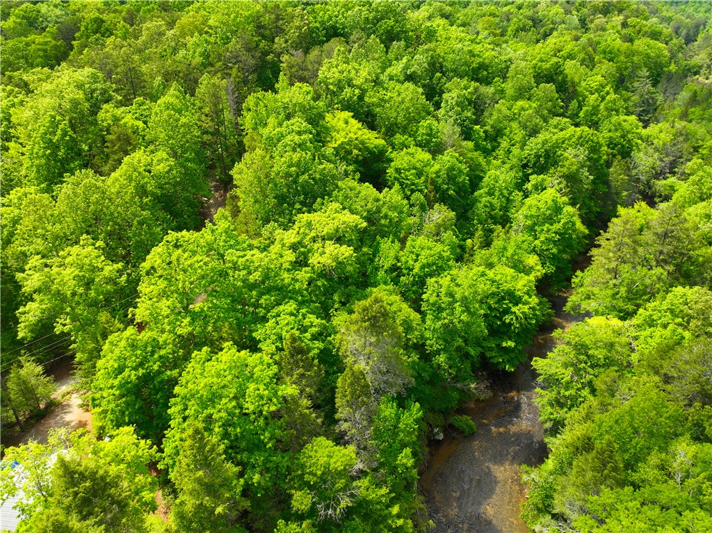 183 Chauga Valley Road Westminster, SC 29693 - Photo 23 of 31
