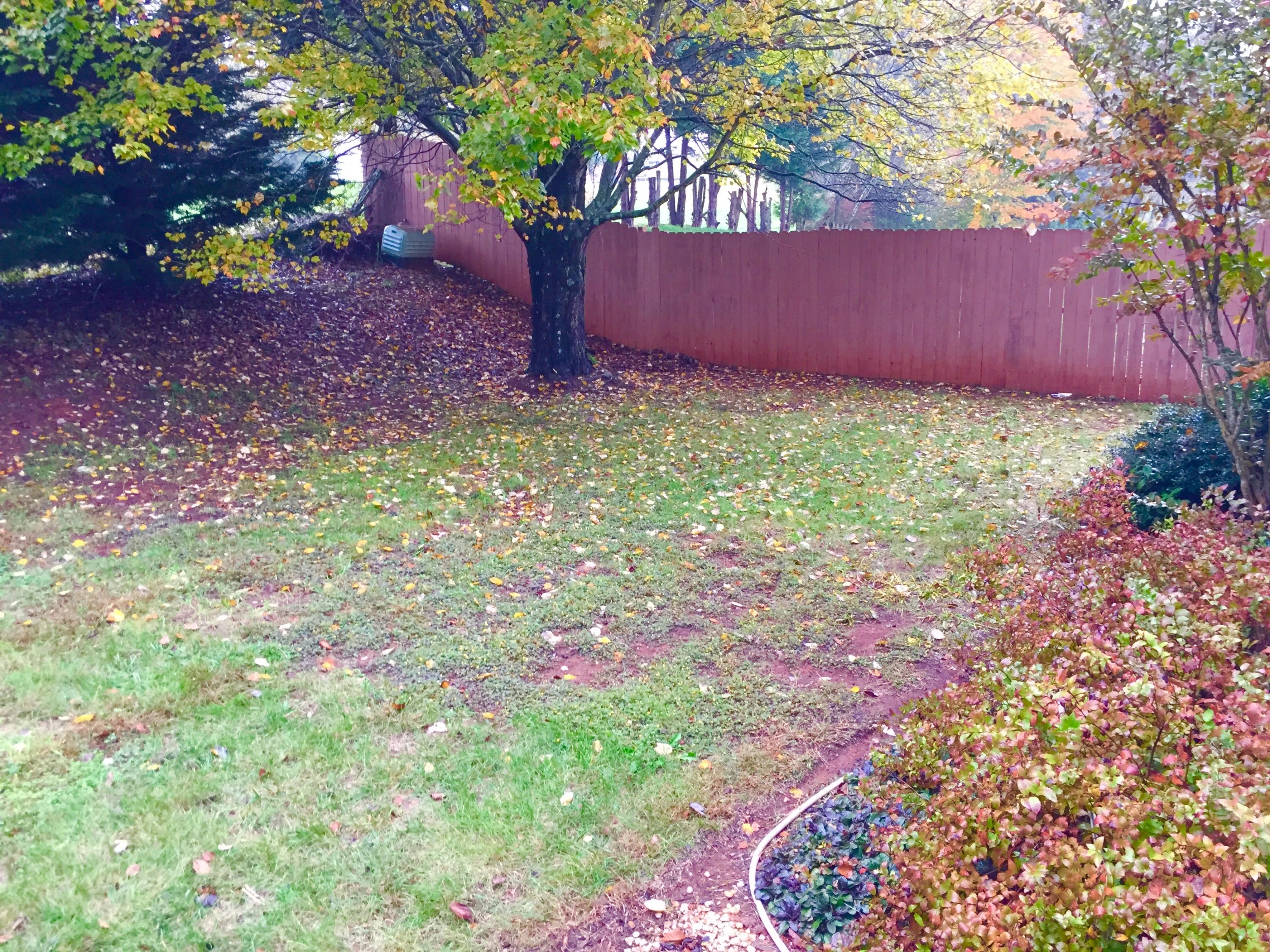 7025 Chartwell Road Knoxville, TN 37931 - Photo 31 of 34 FullSizeRender 18