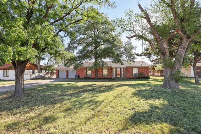 a tall tree in middle of green field