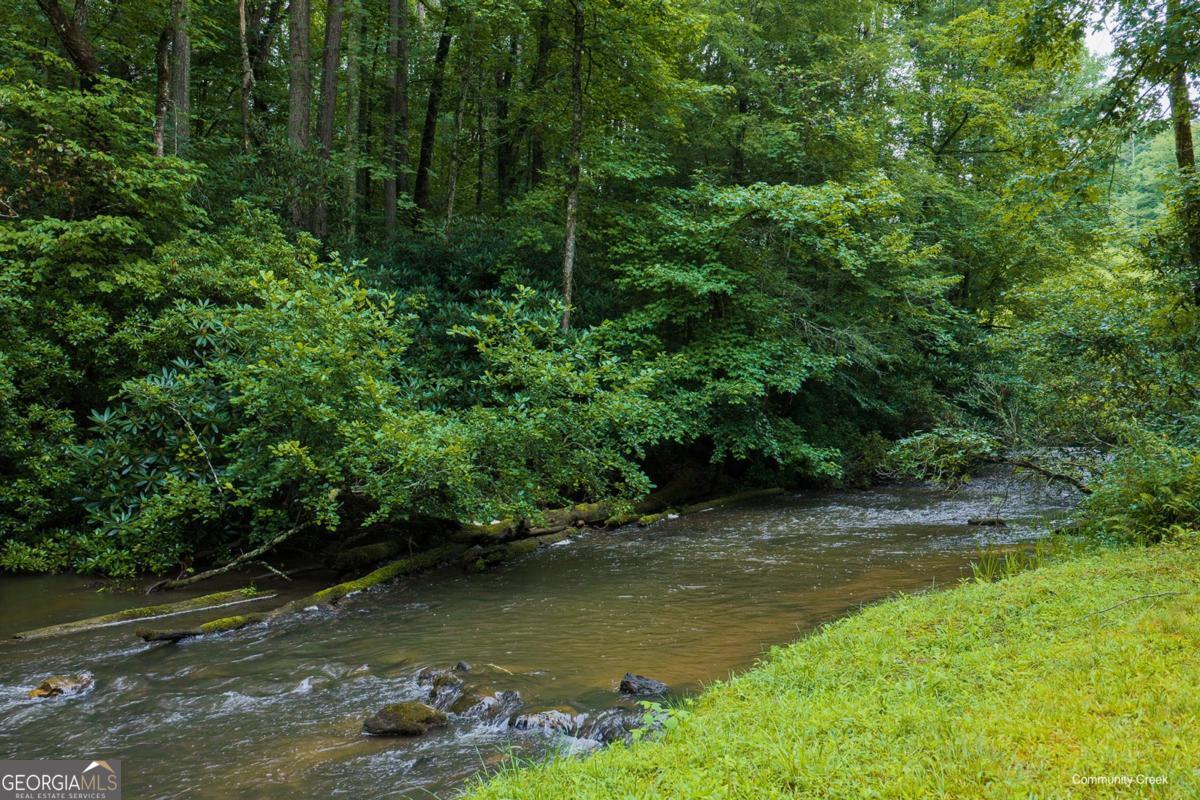 196 Creek Camp Road Ellijay, GA 30536 - Photo 40 of 55 Gallery Image 40