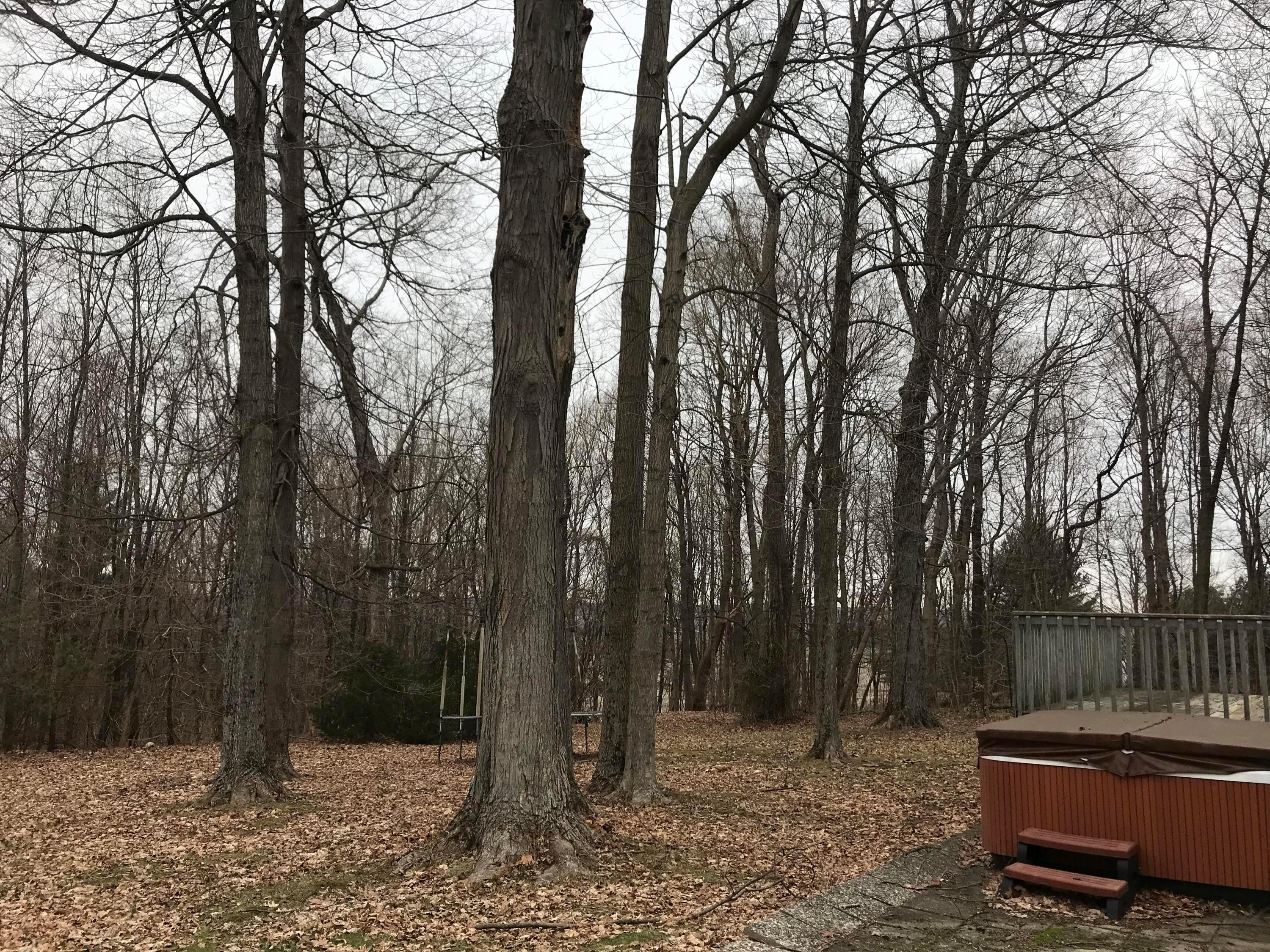 7814 Bowers Road Southwest Amanda, OH 43102 - Photo 20 of 24