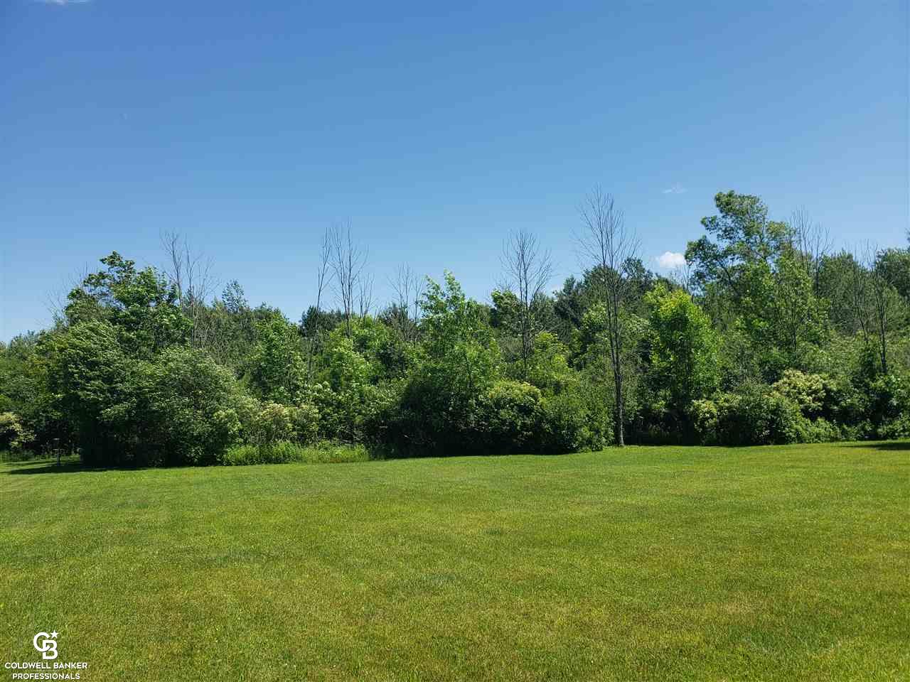 5200 Kilgore Road Avoca, MI 48006 - Photo 24 of 29 Woods View 1
