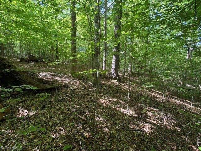 4100 High Rock Road Gibsonville, NC 27249 - Photo 13 of 25