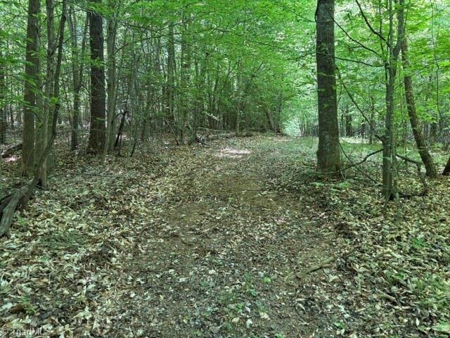 4100 High Rock Road Gibsonville, NC 27249 - Photo 14 of 25