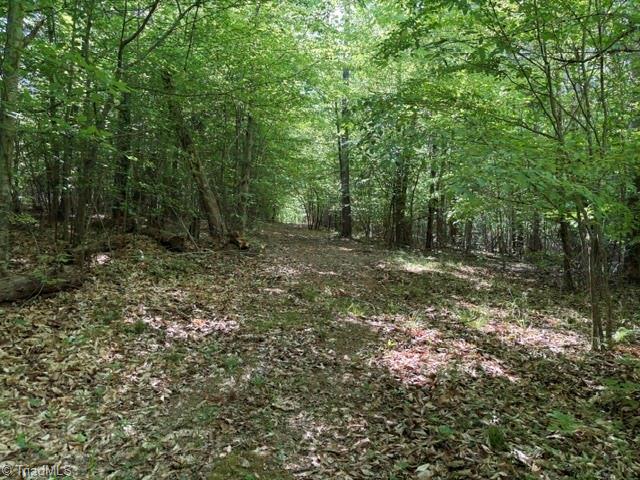 4100 High Rock Road Gibsonville, NC 27249 - Photo 15 of 25