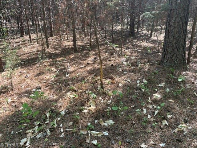 4100 High Rock Road Gibsonville, NC 27249 - Photo 16 of 25