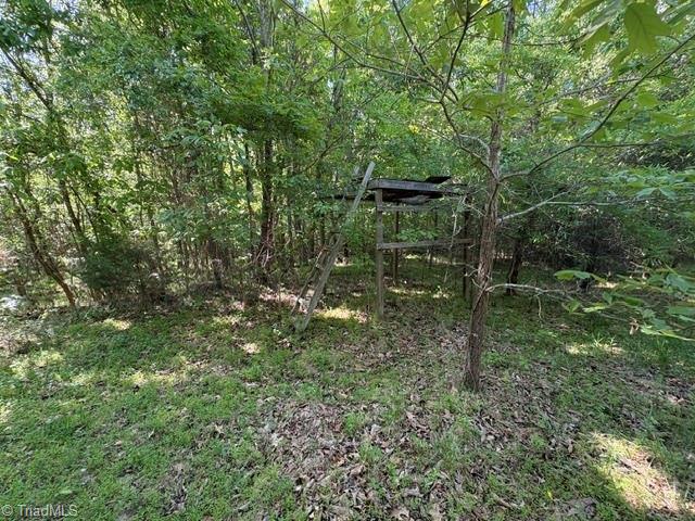 4100 High Rock Road Gibsonville, NC 27249 - Photo 19 of 25