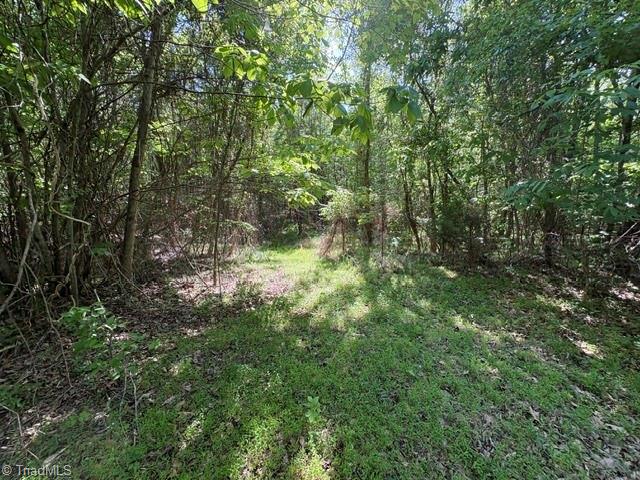 4100 High Rock Road Gibsonville, NC 27249 - Photo 20 of 25
