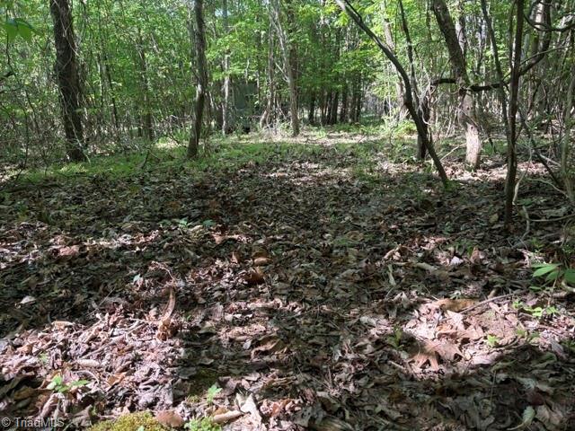 4100 High Rock Road Gibsonville, NC 27249 - Photo 22 of 25