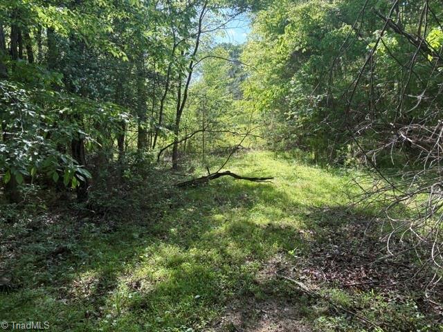 4100 High Rock Road Gibsonville, NC 27249 - Photo 23 of 25
