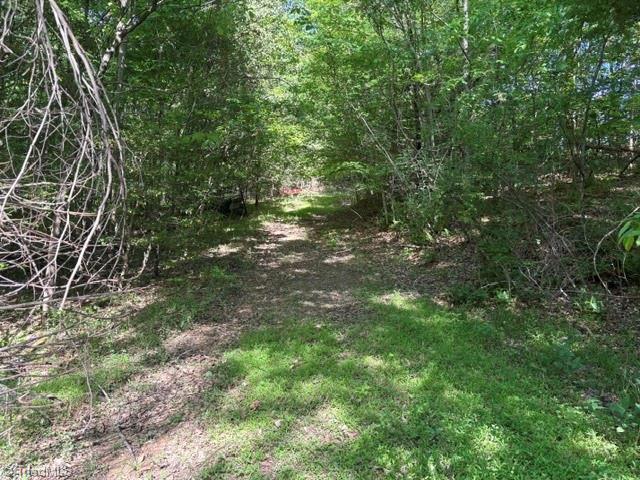 4100 High Rock Road Gibsonville, NC 27249 - Photo 24 of 25