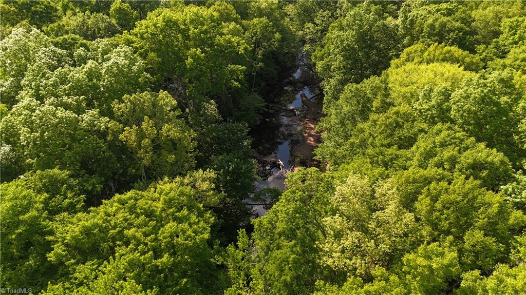 4100 High Rock Road Gibsonville, NC 27249 - Photo 6 of 25
