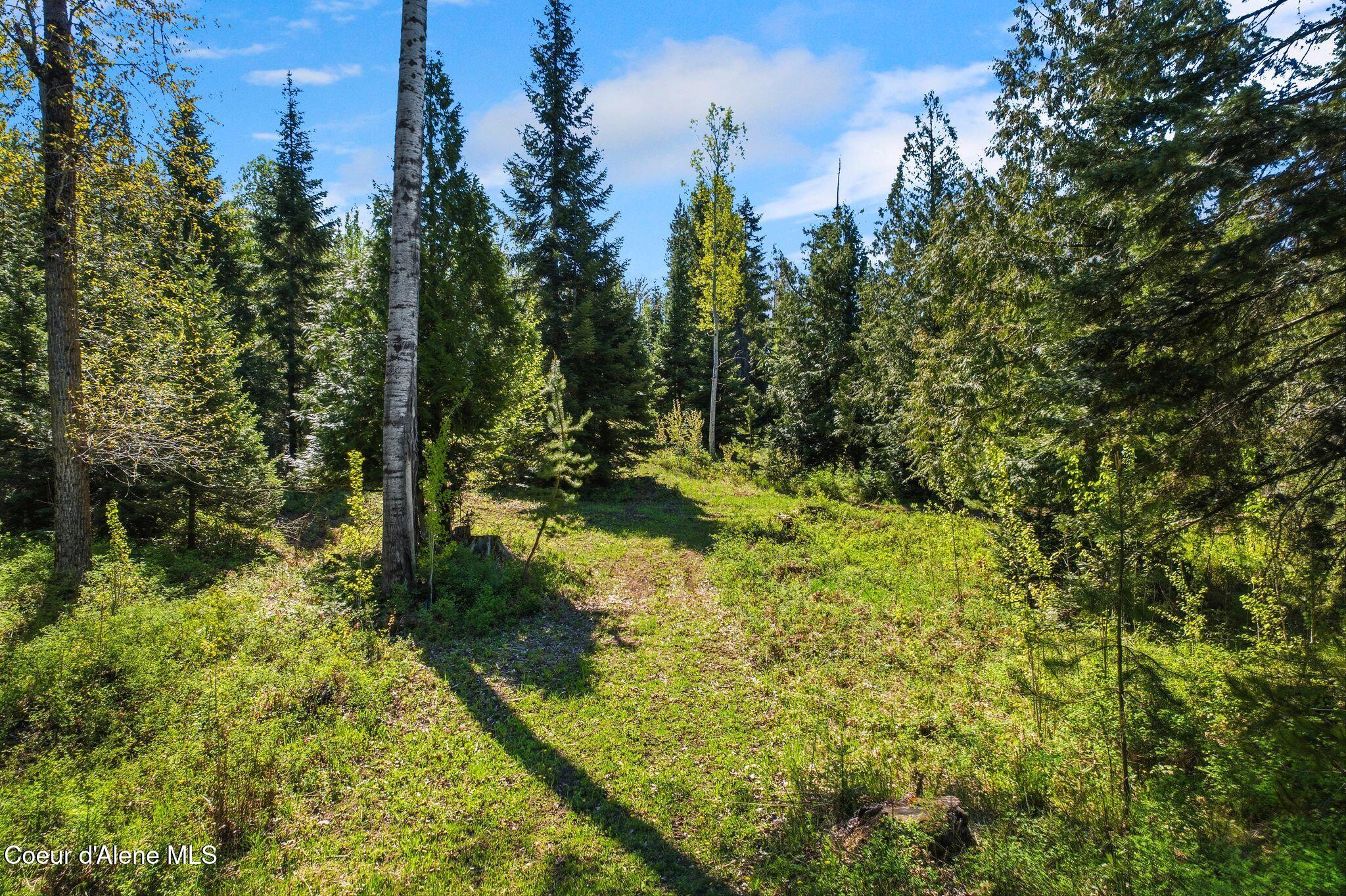 Whitetail Farm Lane Sandpoint, ID 83864 - Photo 7 of 10 11_DJI_0551