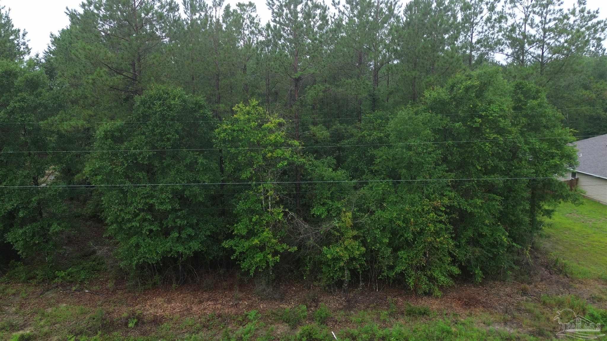 Lot 86 Pineview Church Road Jay, FL 32565 - Photo 4 of 6