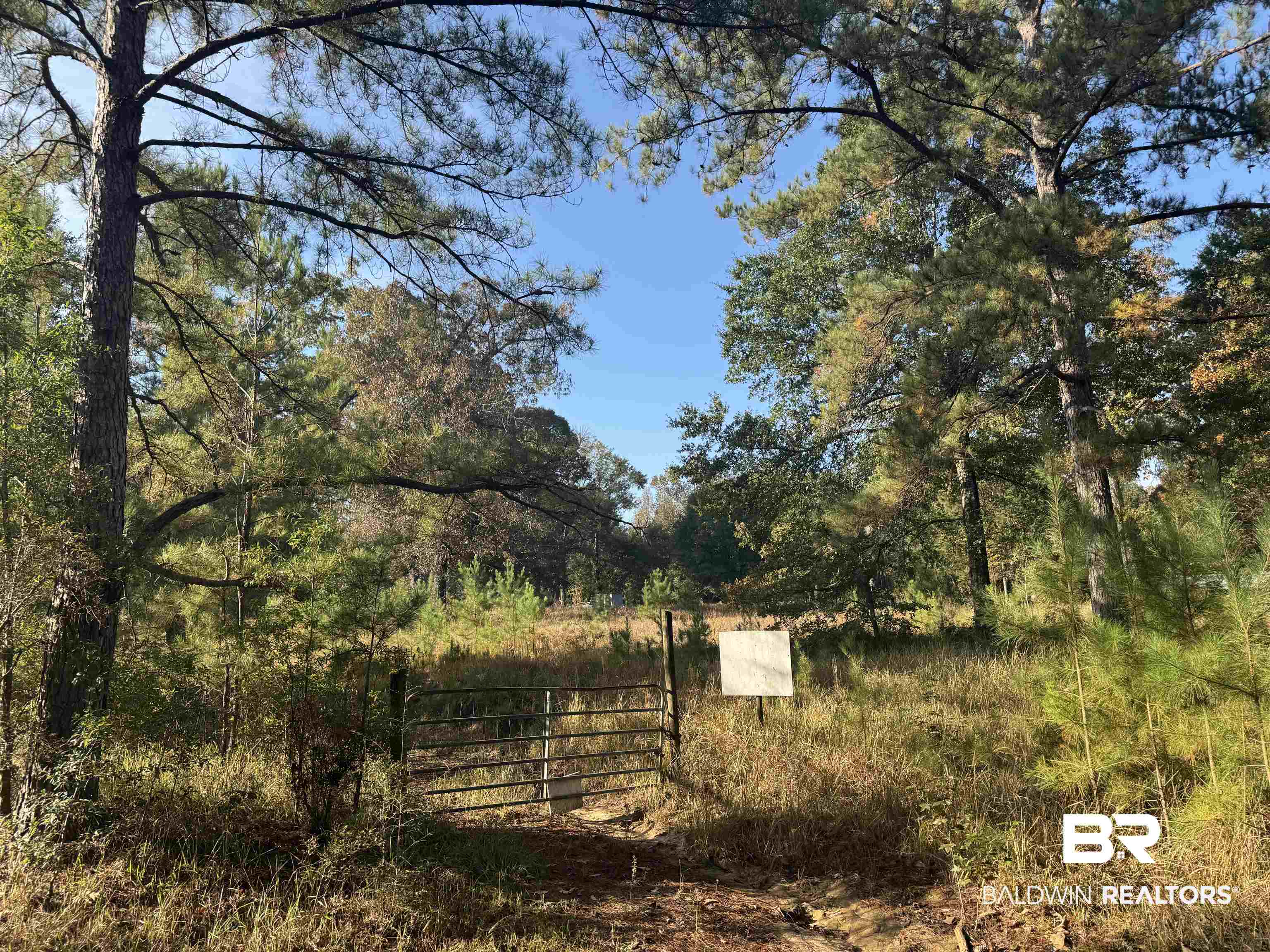 16600 Stacey Road Bay Minette, AL 36507 - Photo 3 of 5
