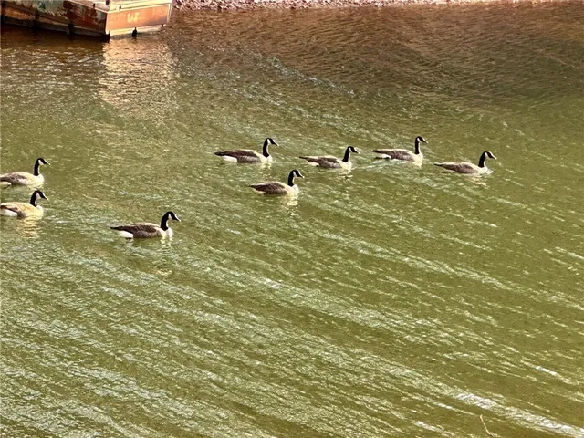 $274,900 | 18 C Hartwell Villas, Anderson, SC 29626