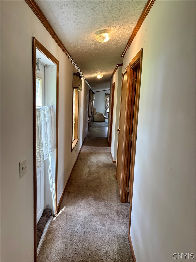 54 Fairport Road Manlius, NY 13104 - Photo 15 of 25