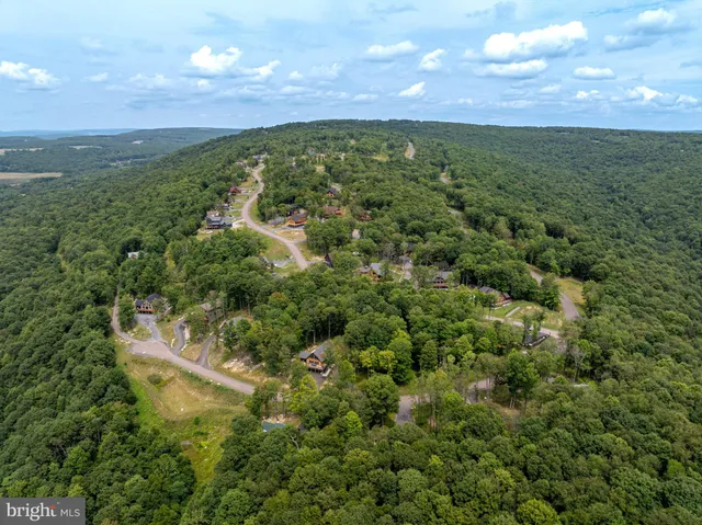 a view of a city with lush green forest