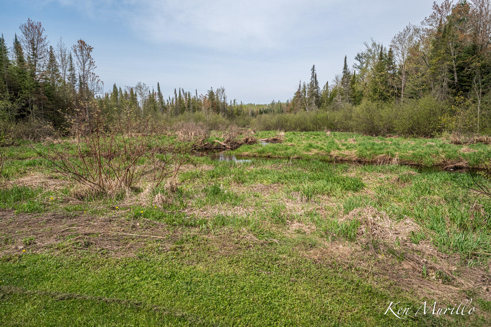 1519 North Roscommon Road Roscommon, MI 48653 - Photo 62 of 72 1519 N Roscommon-21