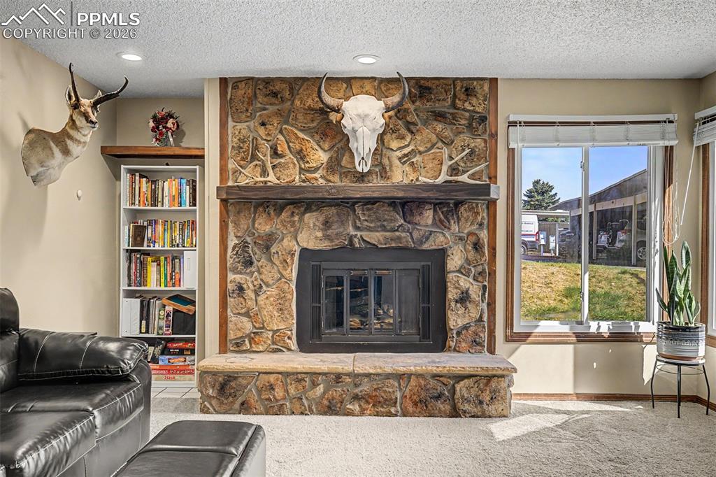 1140 Magic Lamp Way, Unit 3 Monument, CO 80132 - Photo 4 of 23 a living room with furniture and a fireplace