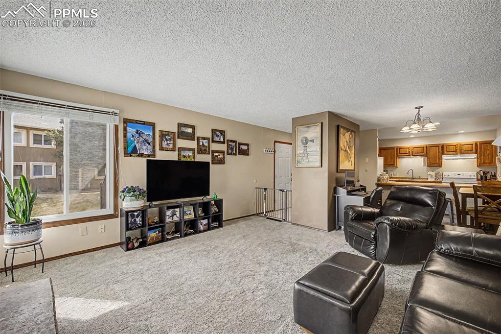 1140 Magic Lamp Way, Unit 3 Monument, CO 80132 - Photo 7 of 23 a living room with furniture and a flat screen tv