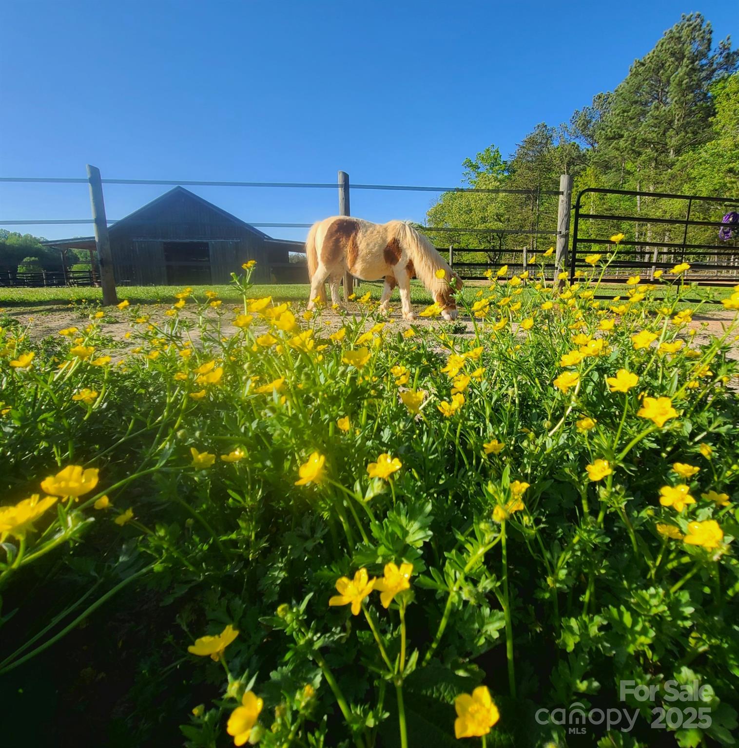 3427 Joe Johnson Road Catawba, NC 28609 - Photo 26 of 42 Gallery Image 26