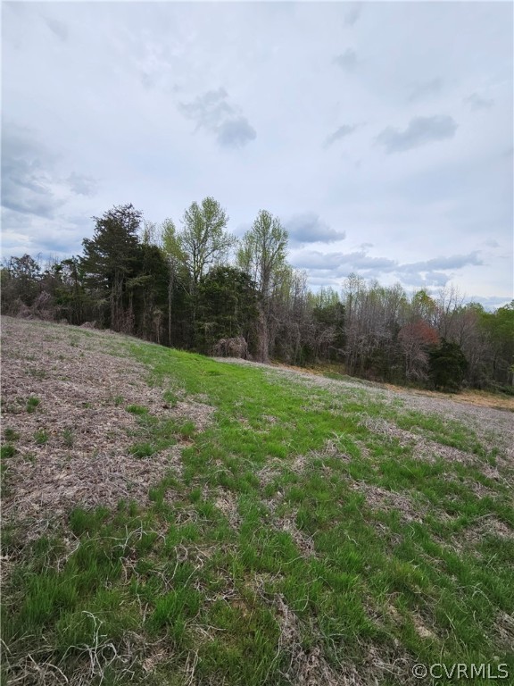 10-ac Holly Farms Road Rice, VA 23966 - Photo 1 of 27 Gallery Image 1