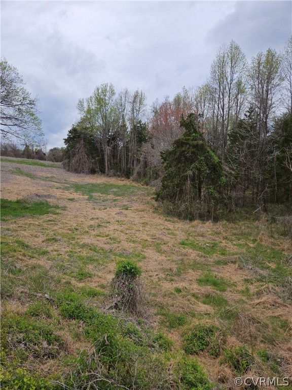 10-ac Holly Farms Road Rice, VA 23966 - Photo 11 of 27 Gallery Image 11
