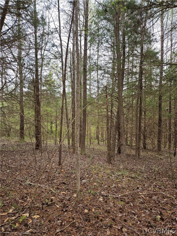 10-ac Holly Farms Road Rice, VA 23966 - Photo 13 of 27 Gallery Image 13