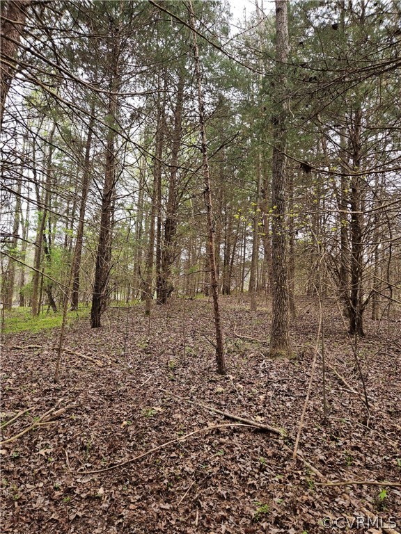 10-ac Holly Farms Road Rice, VA 23966 - Photo 14 of 27 Gallery Image 14