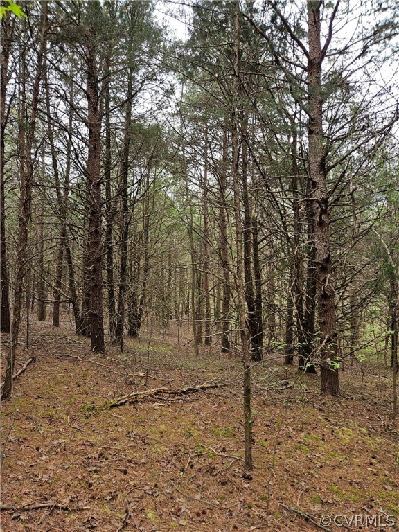 10-ac Holly Farms Road Rice, VA 23966 - Photo 15 of 27 Gallery Image 15