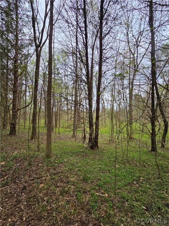 10-ac Holly Farms Road Rice, VA 23966 - Photo 17 of 27 Gallery Image 17