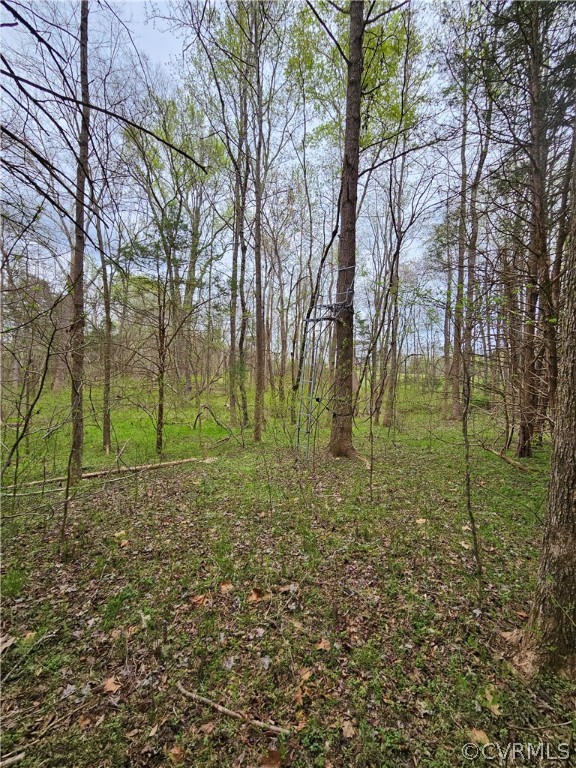 10-ac Holly Farms Road Rice, VA 23966 - Photo 18 of 27 Gallery Image 18