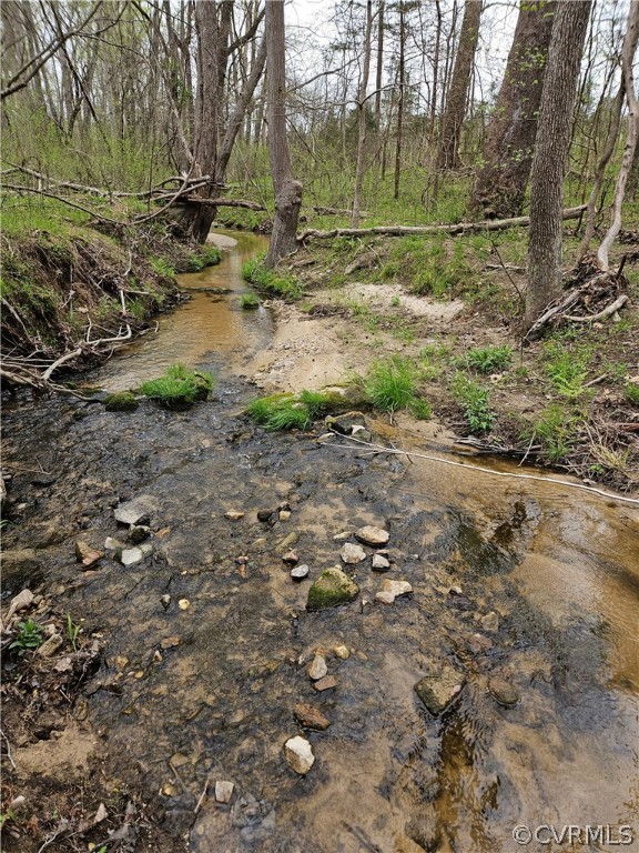 10-ac Holly Farms Road Rice, VA 23966 - Photo 23 of 27 Gallery Image 23