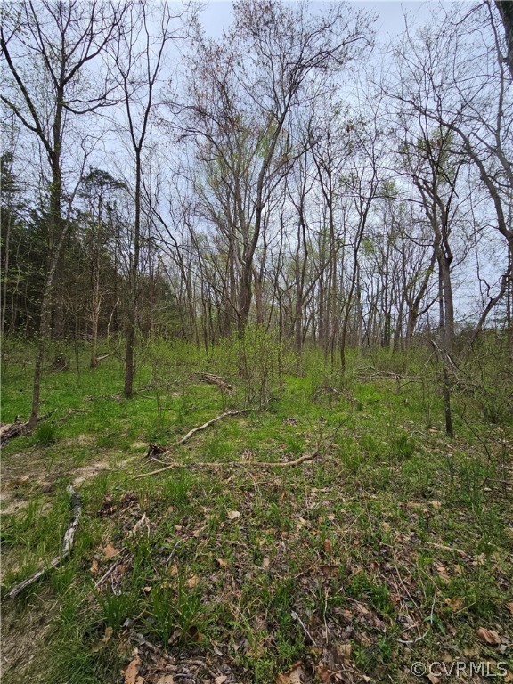 10-ac Holly Farms Road Rice, VA 23966 - Photo 24 of 27 Gallery Image 24